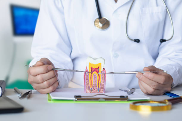 Best Emergency Root Canal Treatment in St Augustine South, FL